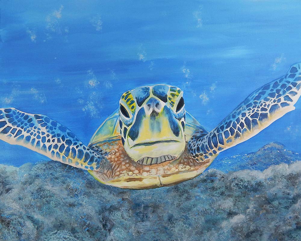 Amazon.co.jp: Buyartforless ウミガメ Ed Capeau 32x24 アートペイン